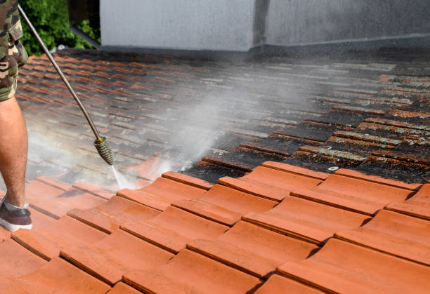 Best Affordable Pressure Washing  in Ortonville, MN