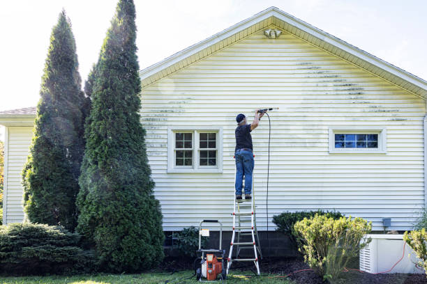 Best Affordable Power Washing  in Ortonville, MN