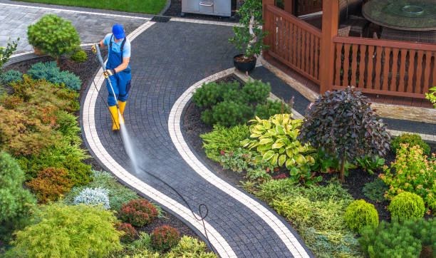 Best Residential Pressure Washing Services  in Ortonville, MN